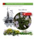 comprar Vinca difformis