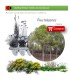 comprar pino carrasco pinus halepensis