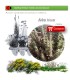 comprar marrubio ballota hirsuta