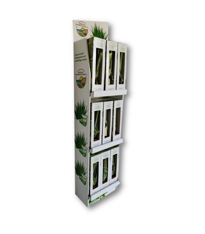 ALOE VERA  planta en estuche individual
