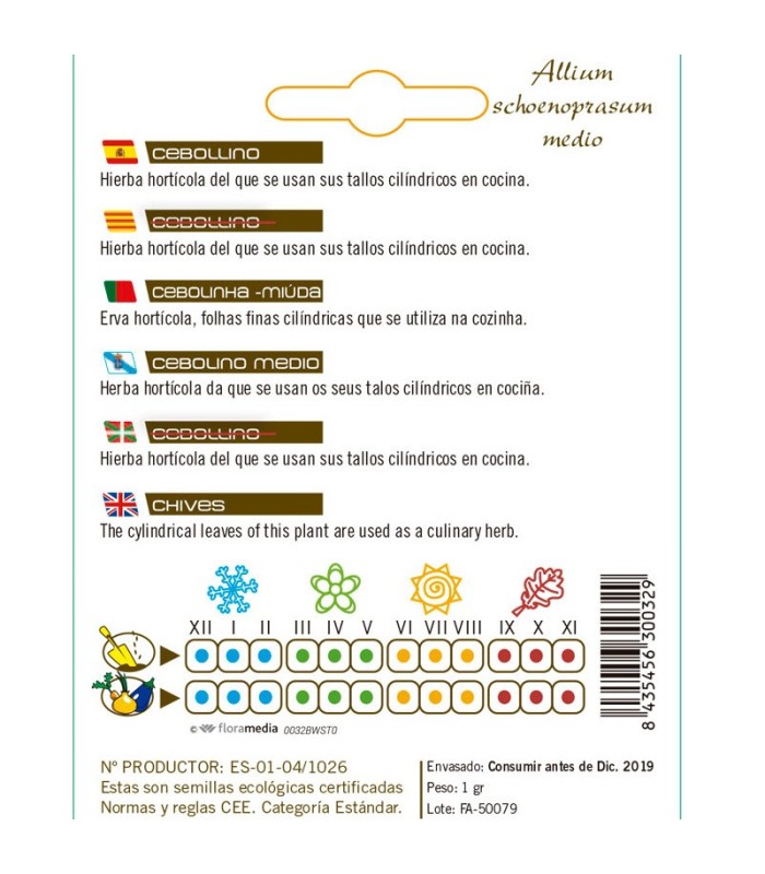 CEBOLLINO Allium shoenoprasum  semilla x 1 g