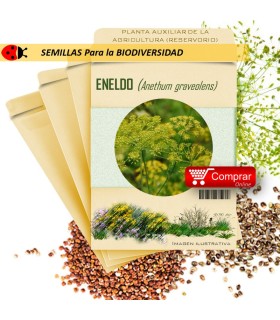 ENELDO Anethum graveolens semillas x 1 g