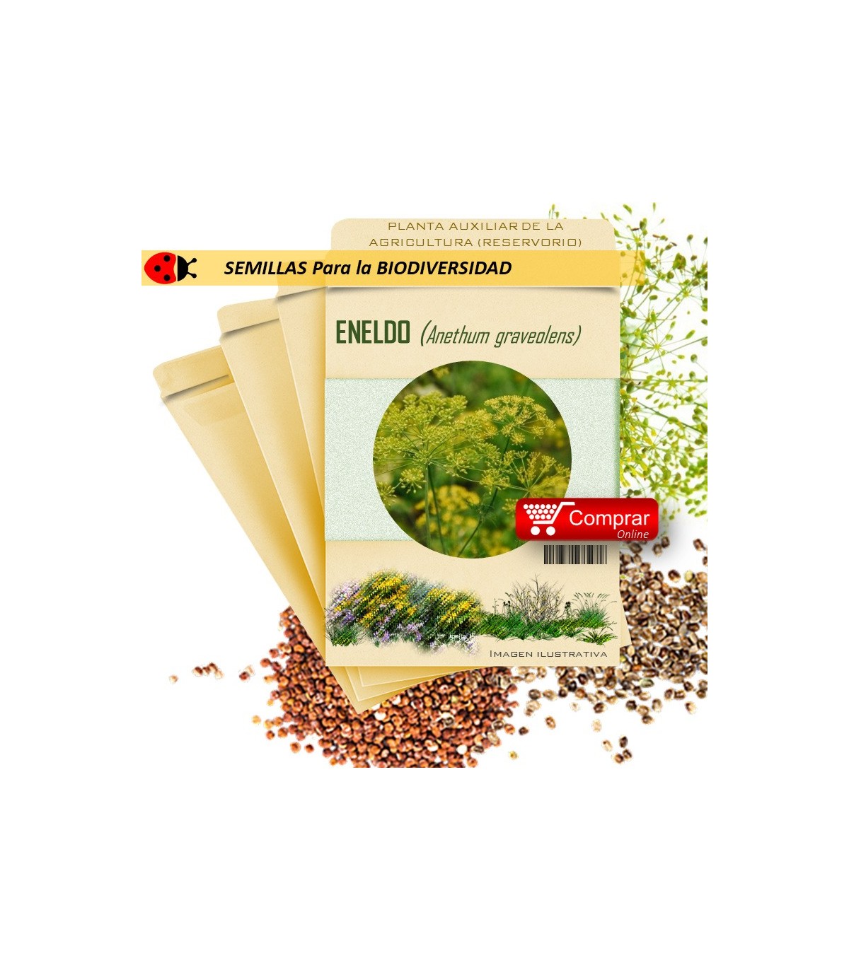 ENELDO Anethum graveolens semillas x 1 g
