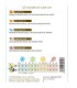ENELDO Anethum graveolens semillas x 1 g