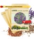 LAVANDA Lavandula officinalis semillas