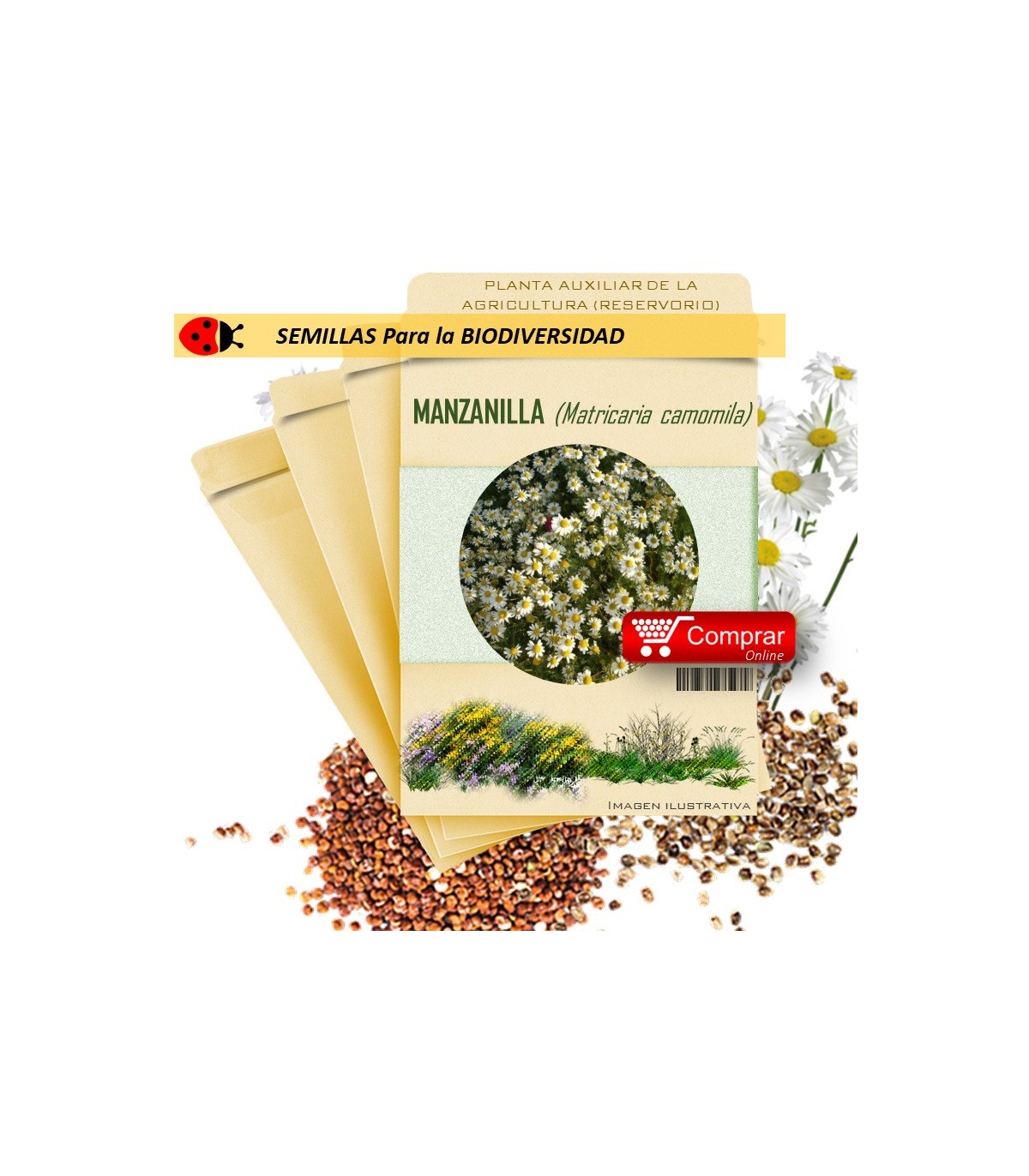MANZANILLA Matricaria chamomilla semillas