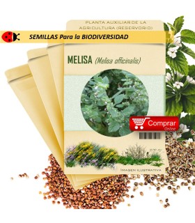 MELISA Melisa officinalis semillas x 1 g