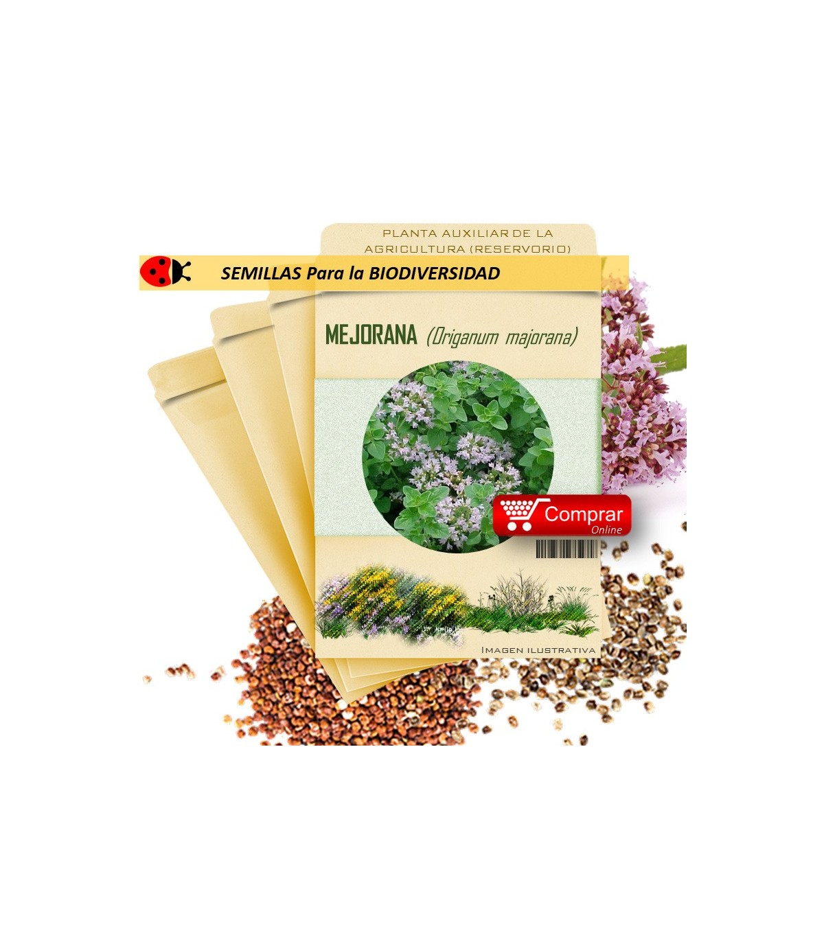 MEJORANA Origanum majorana semillas