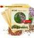 ORÉGANO Origanum vulgare semillas