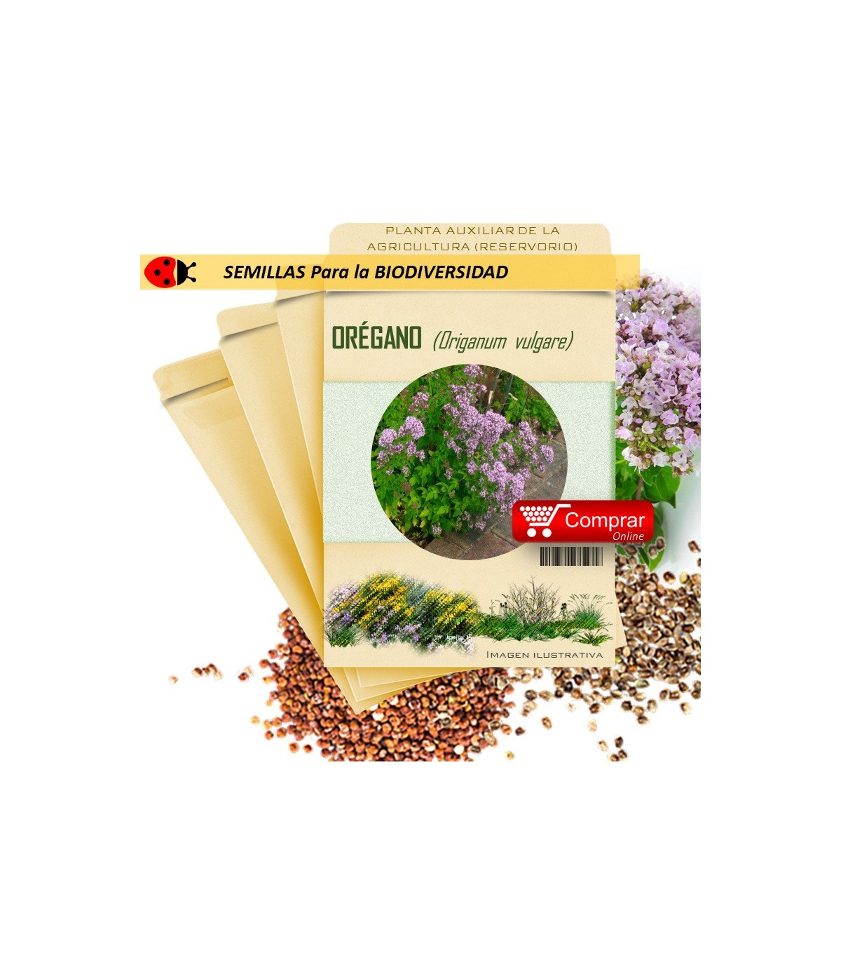 ORÉGANO Origanum vulgare semillas