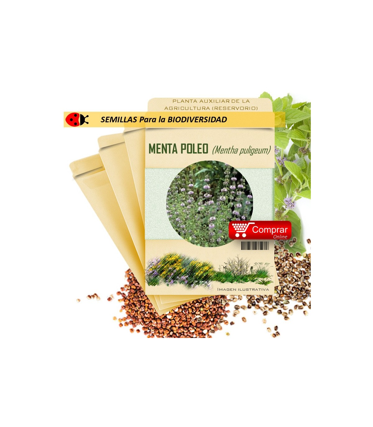 POLEO MENTA Mentha puligeum semillas x 1 g