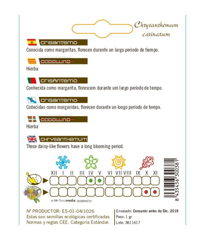 CRISANTEMO Chrysantemum carinatum semillas