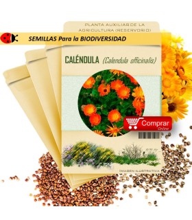 CALÉNDULA C. officinalis semillas