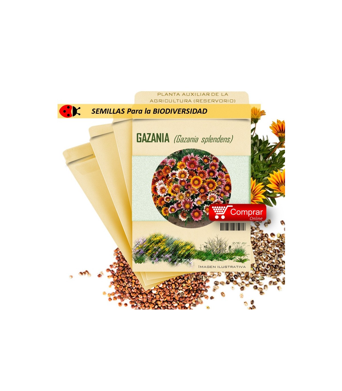 GAZANIA G. splendens semillas