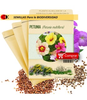PETUNIA P. multiflora semillas