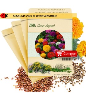 ZINIA Zinnia elegans semillas