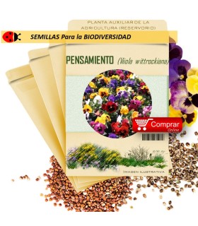 PENSAMIENTO Viola wittrockiana semillas