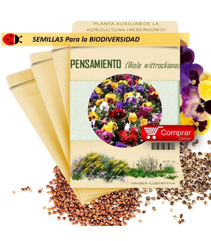 PENSAMIENTO Viola wittrockiana semillas