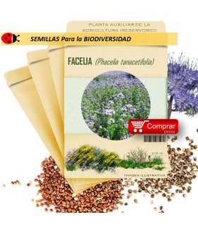 FACELIA Phacelia tanacetifolia semillas  X 10 g