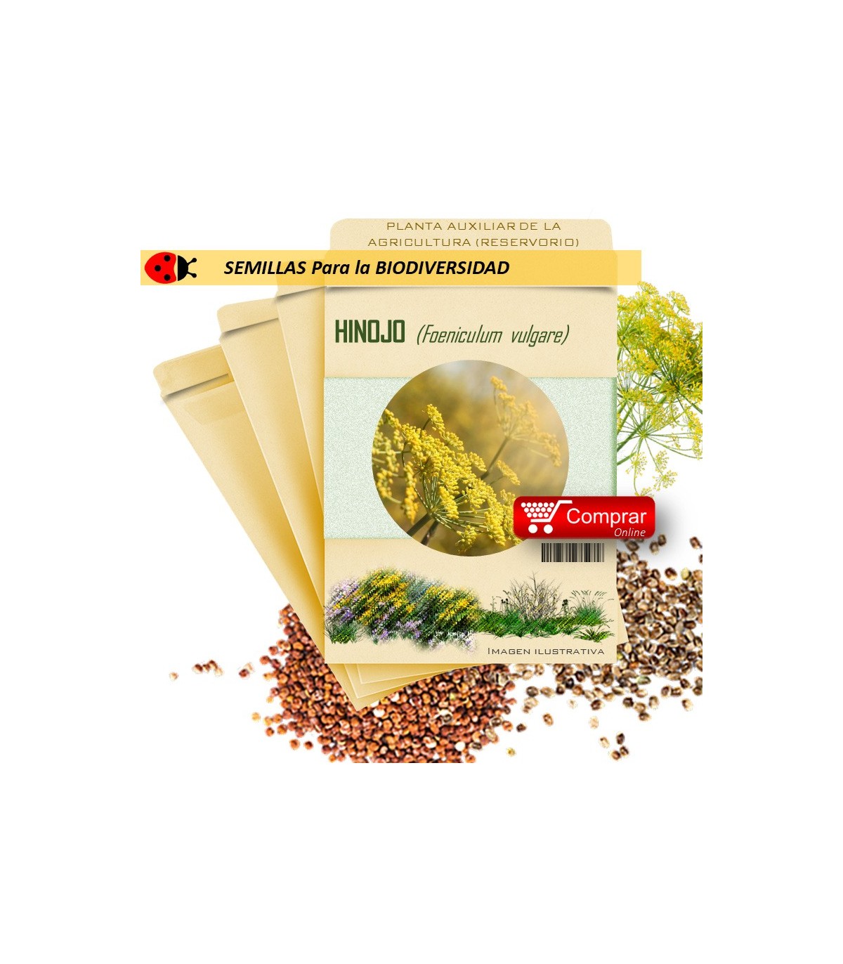 HINOJO Foeniculum vulgare semillas x 5 g