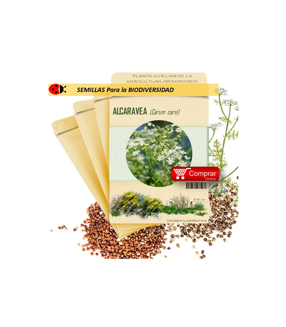 ALCARAVEA Carum carvi semillas x 10 g