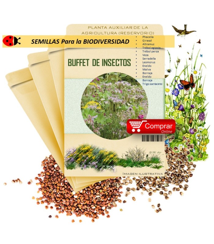 BUFFET DE INSECTOS semillas x 100 g