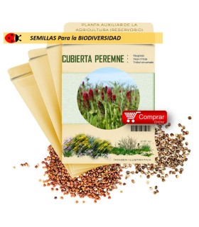 MEZCLA PEREMNE semillas x 100 g