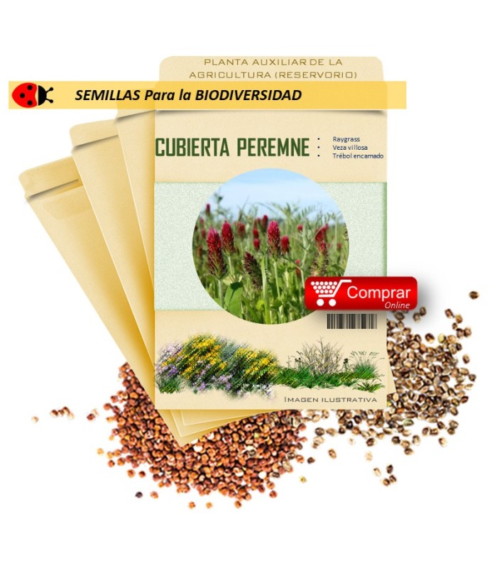 MEZCLA PEREMNE semillas x 100 g