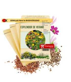 MEZCLA MELÍFERA semillas x 25 g