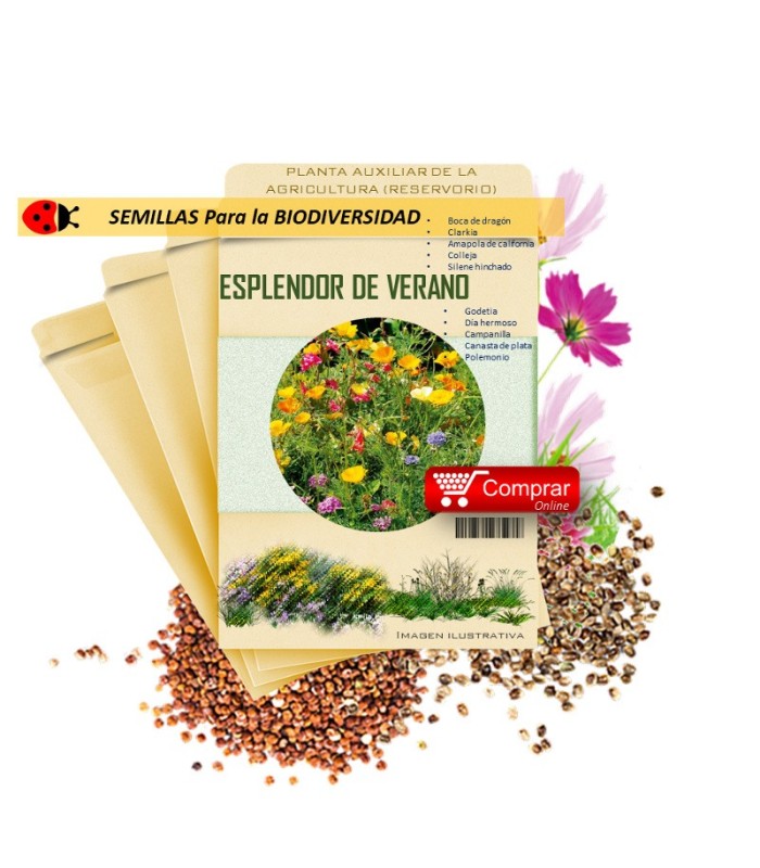 MEZCLA MELÍFERA semillas x 25 g