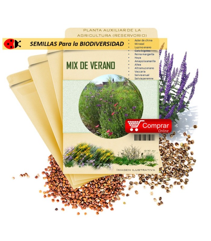 JARDÍN SILVESTRE semillas x 5 g