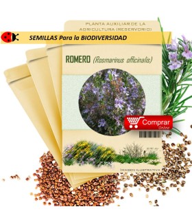 ROMERO Rosmarinus officinalis semillas x 1 g