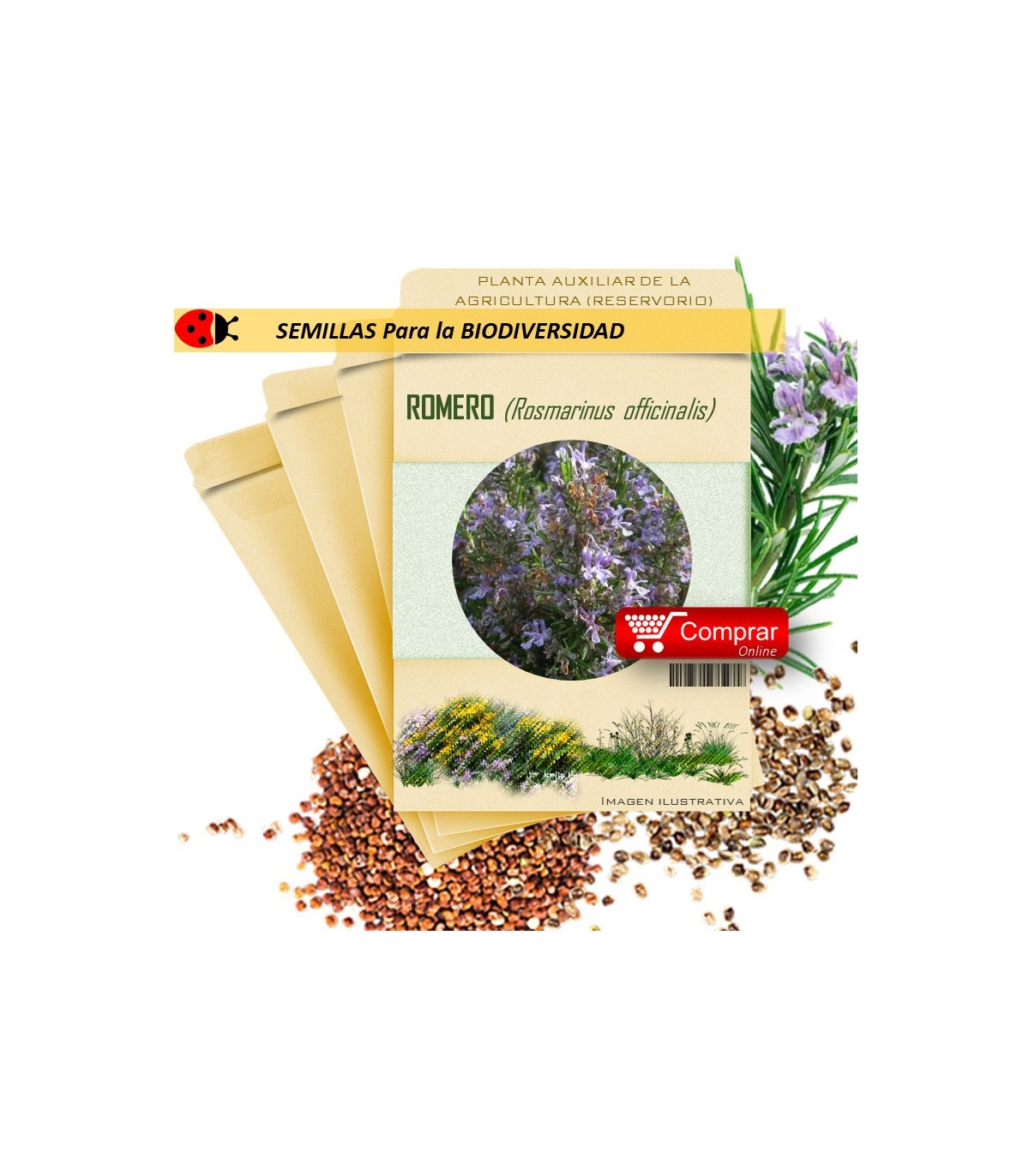 ROMERO Rosmarinus officinalis semillas x 1 g
