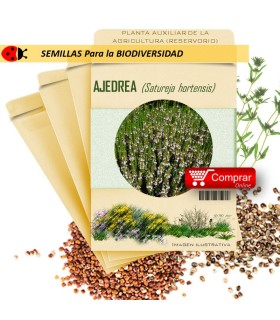 AJEDREA Satureja hortensis semillas x 2,5 g
