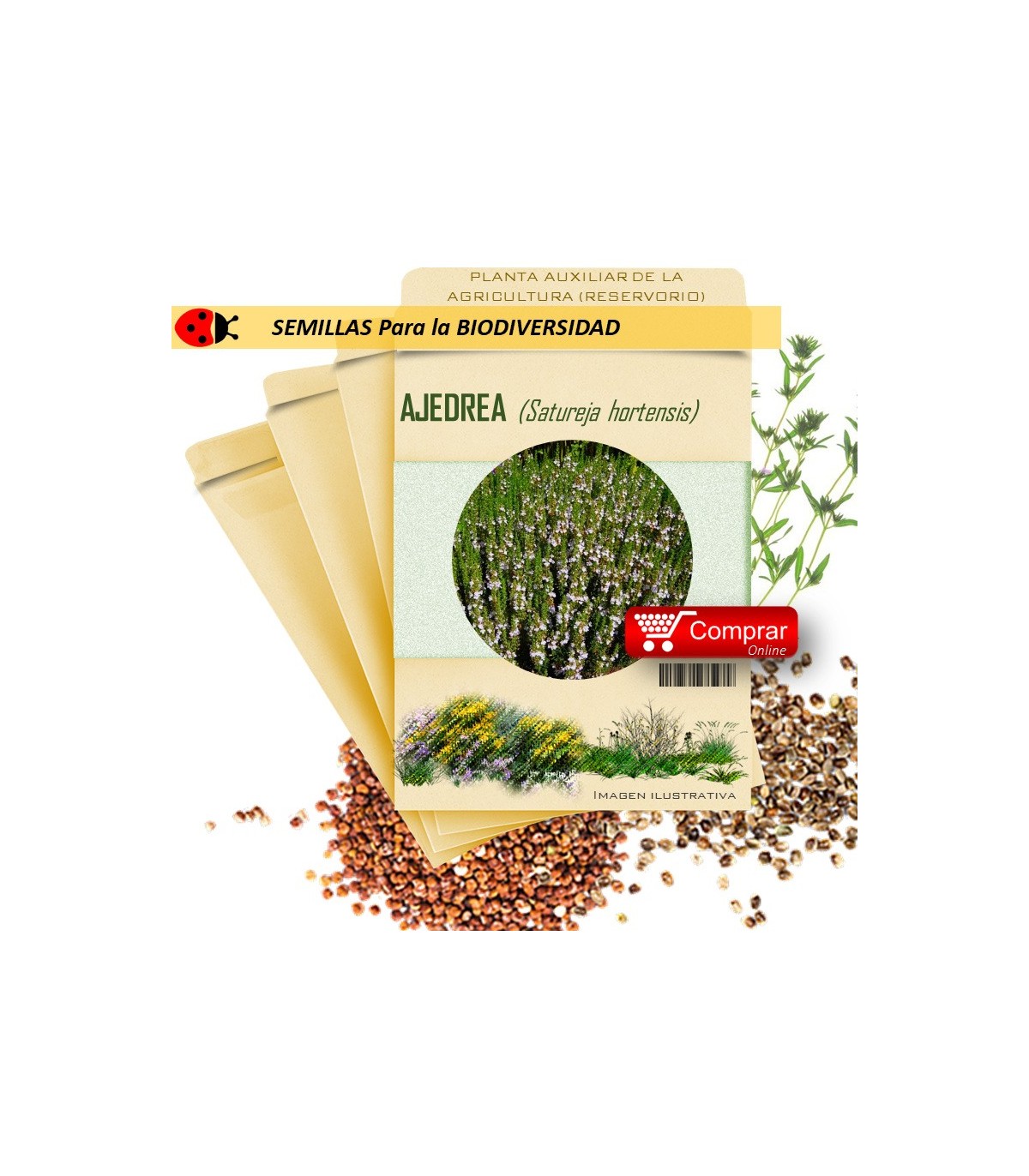 AJEDREA Satureja hortensis semillas x 2,5 g