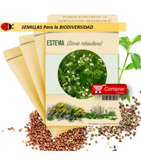 ESTEVIA Stevia Rebaudiana  x 50 semillas