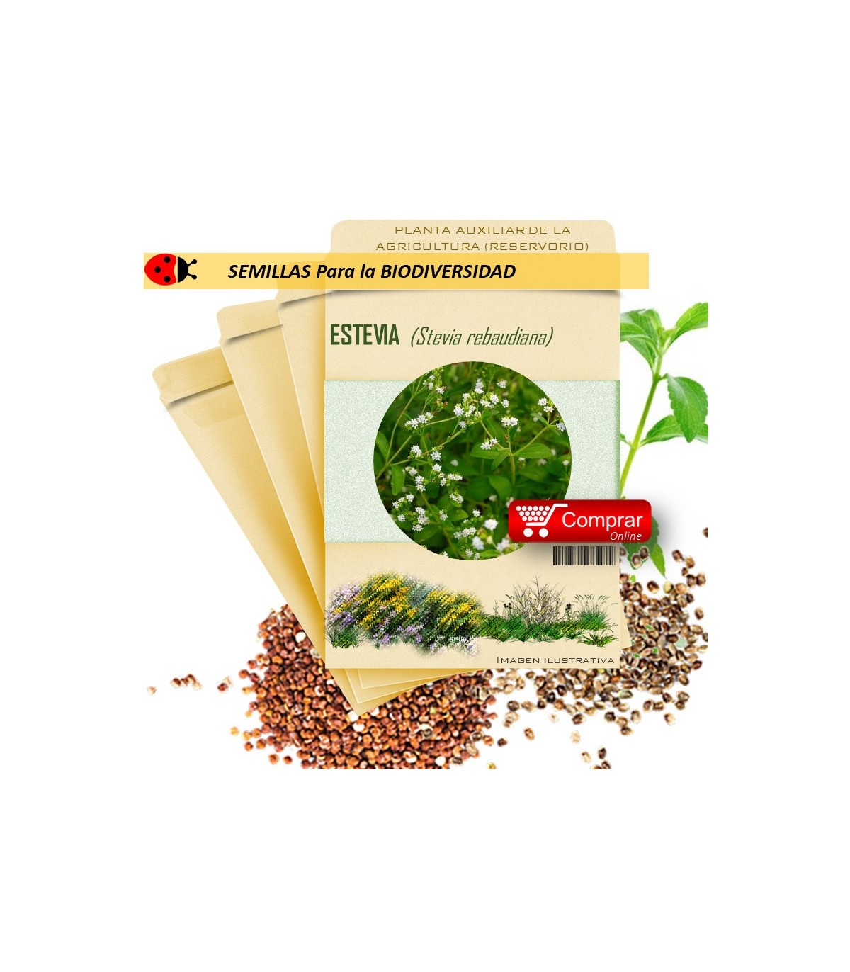ESTEVIA Stevia Rebaudiana  x 50 semillas