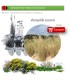 Venta de AMMOPHILLA ARENARIA (Barrón) BF 45/220