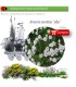 ARMERIA MARITIMA ALBA (Clavel de mar) BF 40/260