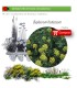 Venta de BUPLEURUM FRUTICOSUM (Adelfilla) BF 45/220