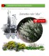 Venta de CENTRANTHUS RUBER (Alfeñique) BF 40/260