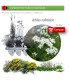 Venta deACHILLEA MILLEFOLIUM (Milenrama) AH 54