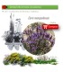 Venta de CORIS MONSPELIENSIS (Hierba pincel) BF 40/260
