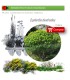 Venta de EUPHORBIA DENDROIDES (Lechetrezna) BF 40/260