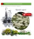 Venta de FILIPENDULA VULGARIS BF 40/260