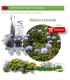 Venta de GLOBULARIA TRICHOSANTHA BF 40