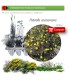 Venta de POTENTILLA NEUMANNIANA BF 40/260