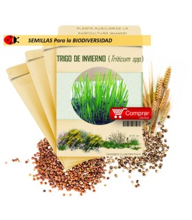 TRIGO DE INVIERNO (Triticum spp) semillas 1.000 gr