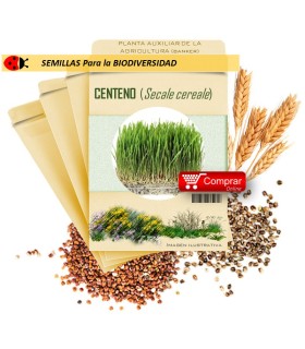 CENTENO (Secale cereale) semillas 1.000 g