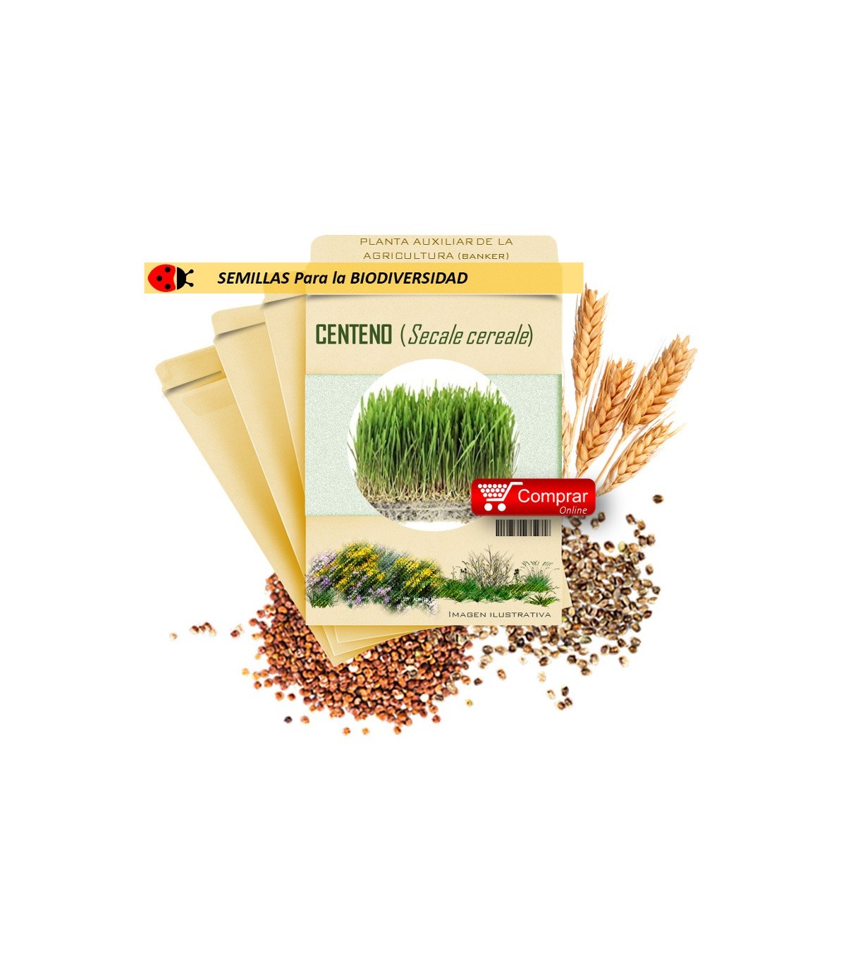 CENTENO (Secale cereale) semillas 1.000 g